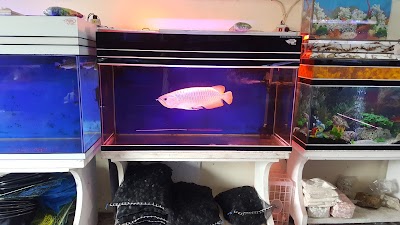 Photos of Bhayangkara aquarium