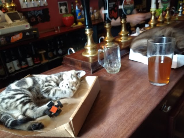 Chai Shai Kitchen Bristol