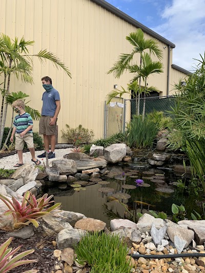 Koi Smart Pond & Aquarium Supply Store