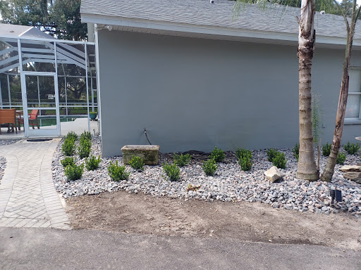 D9 Construction - Visual