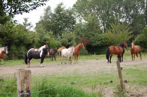Farm Equestre Du Tréglodé