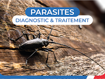 RP France Bayonne à Saint-Martin-de-Seignanx