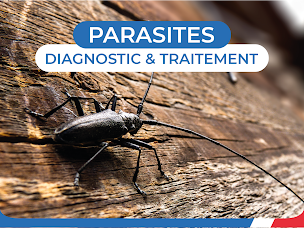 Photo n°1 de RP France Bayonne à Saint-Martin-de-Seignanx (Entreprise d'énergie solaire)