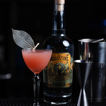 Odd Birds Miami by null