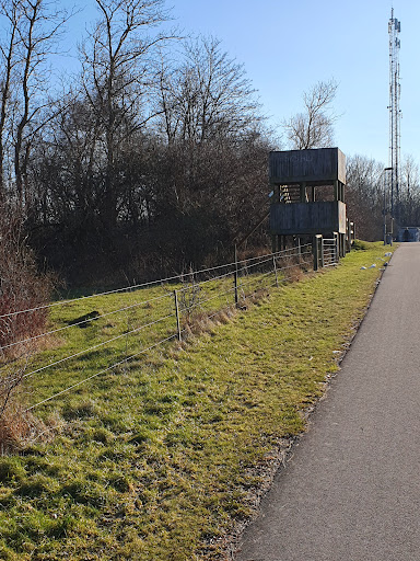 Gullåkra Mosse