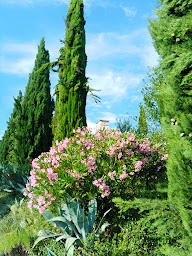 Photo n°12 de La Tour d'Auriolles à Saint-Alban-Auriolles (Chambre d'hôtes)