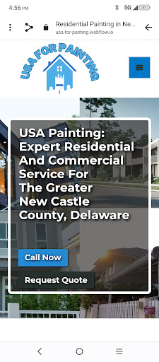 USA For PAINTING LLC