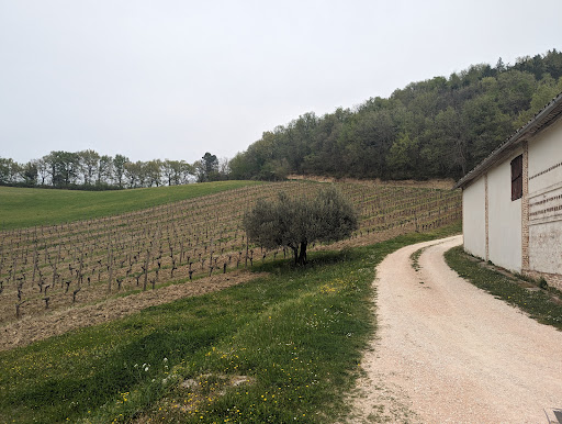Tenuta Cambrugiano