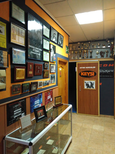 CDM Albujon - Visual