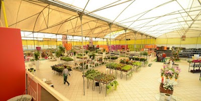Photos of Nursery Garden GREEN HAND (Casablanca)
