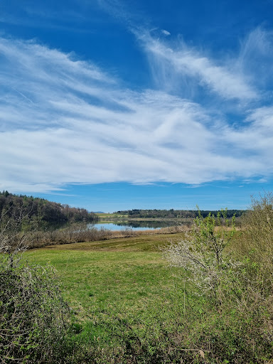 Mindelsee Runde zum Wild- und Freizeitpark Allensbach und zurück - Impressionen