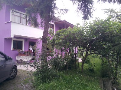 Photos of G&uuml;l&ccedil;ay Mosque