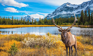 Photo n°14 de Voyages Hocdé et Le Monnier à Évron (Compagnie d'autobus)