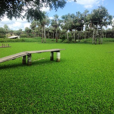 Photos of Fazenda da Esperan&ccedil;a S&atilde;o Bento (Masculina)