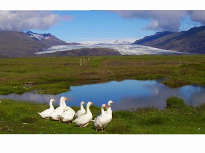 Photos of Lambhus Glacier View Cabins by Vatnajokull National Park