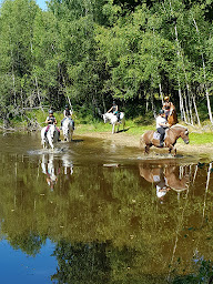 Photo n°21 de Elevage du Lak à Bussière-Galant (Centre équestre)