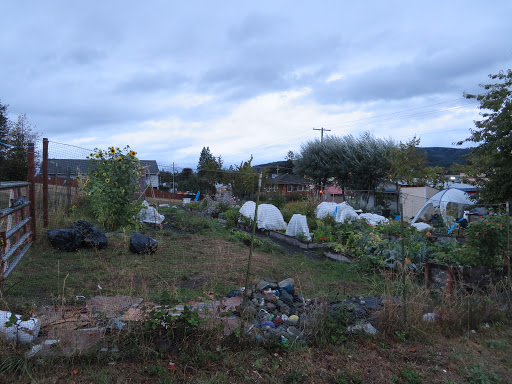 Mountain Community Garden - Thumbnail