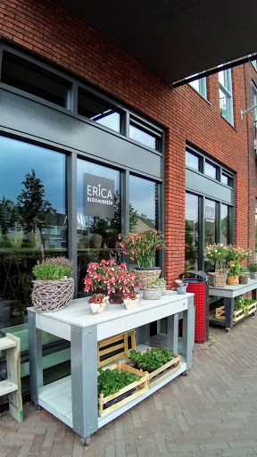 Erica Bloemideeën Gallery - Netherlands