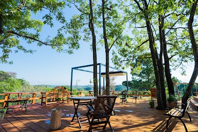 農園ガーデン空