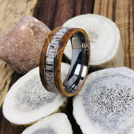 Twisted Bands - Visual