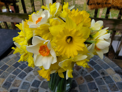 BrightSide Flower Farm LLC - Thumbnail