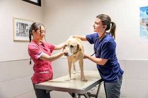 Photo n°11 de Clinique Vétérinaire Argos Aix Parade à Aix-en-Provence (Vétérinaire)