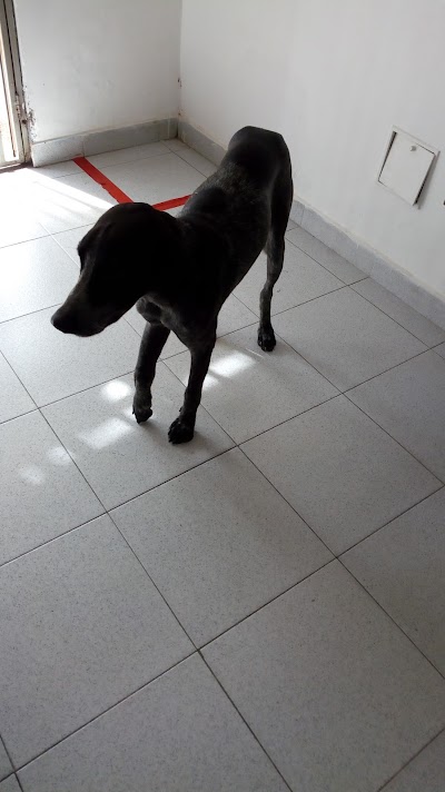 Photos of Medifauna Clinica Veterinaria
