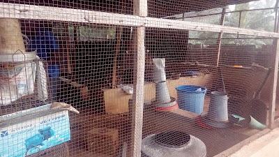 Photos of Morkem Farms