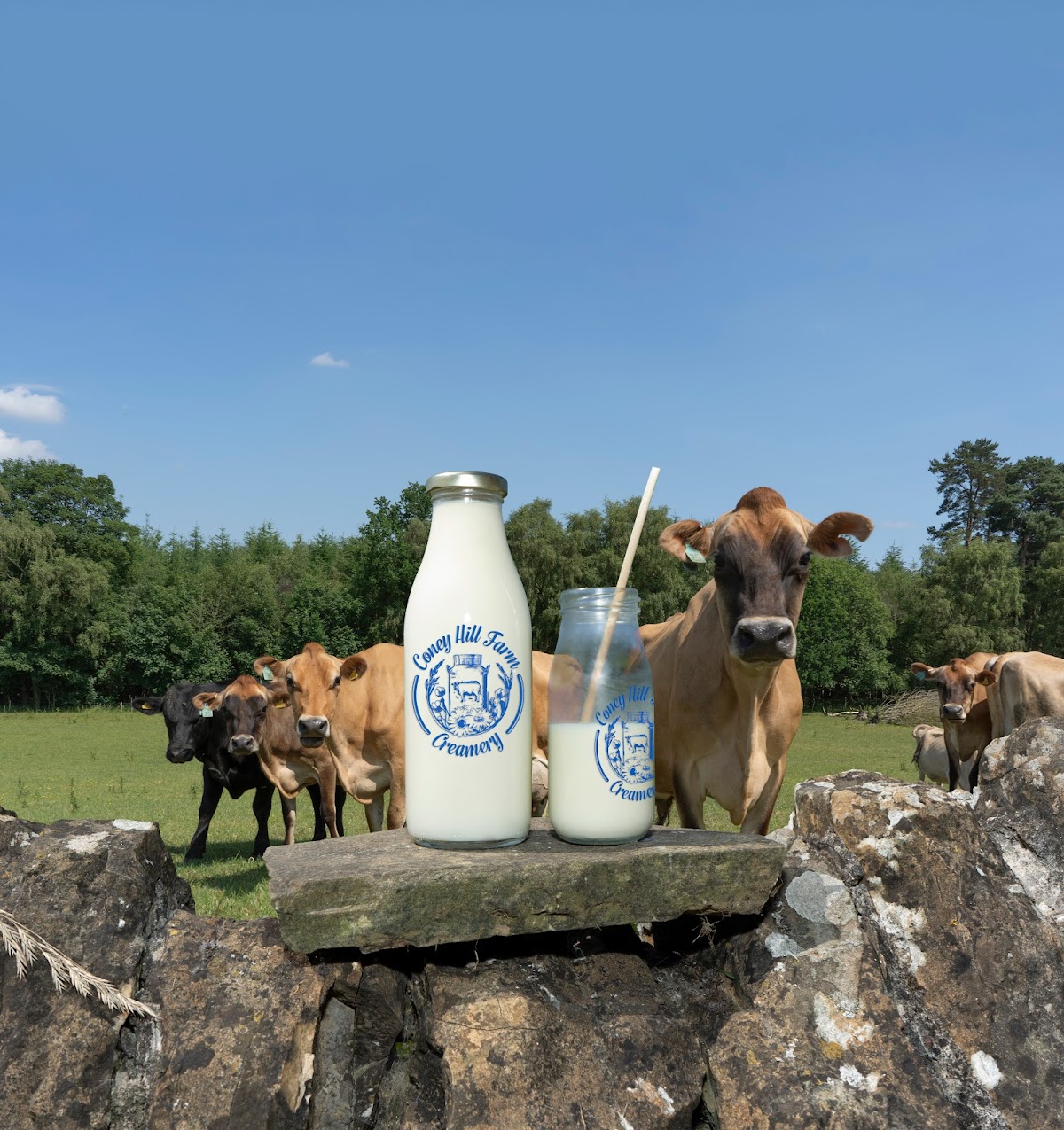 Coney Hill Farm Creamery