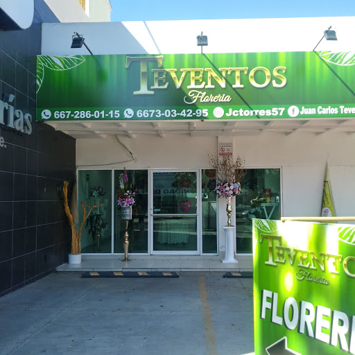 TEventos Floreria - Visual