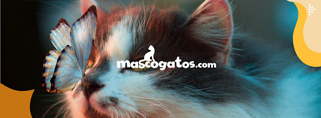 Mascogatos — Tiendas de mascotas en Carlet