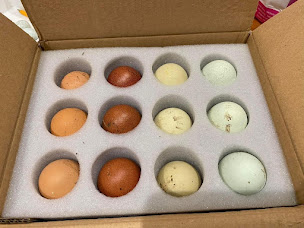 Photo n°8 de Ti Vioù Kanevedenn à Saint-Servais (Ferme)