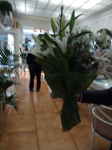 Flors Amanda