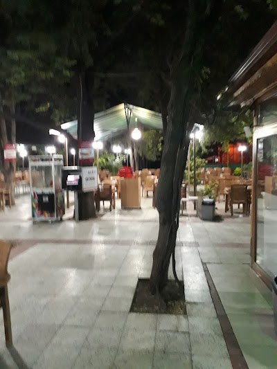 Photos of Yesil Ev 1