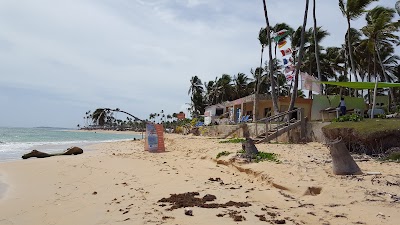 Photos of Tropical Treasure