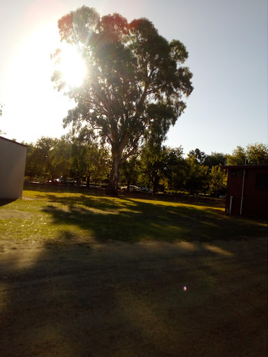 Benalla Saints Football Netball Club - Thumbnail
