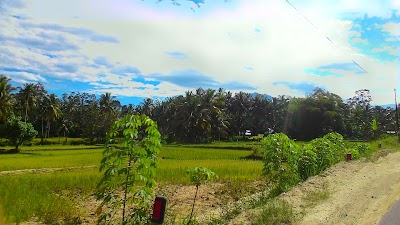 Photos of Centra Juice