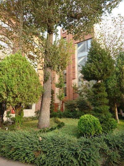 Photos of Tehran Shimi