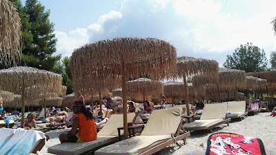 Photos of Elephant Beach & Bar