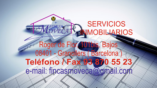 Finques Moveca - Visual