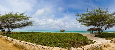 Photos of Beach House Aruba