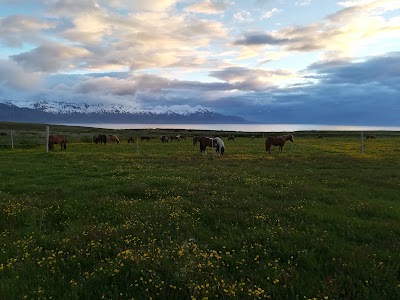 Photos of Saltv&iacute;k Guesthouse