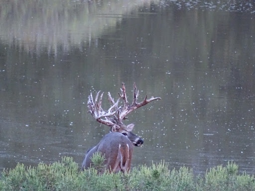 Squaw Mountain Ranch - Visual