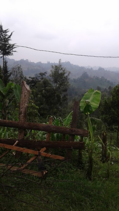 Photos of Githambo Primary School