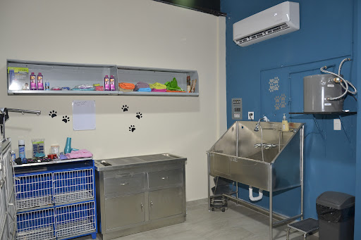 Veterinaria Laredo - Thumbnail