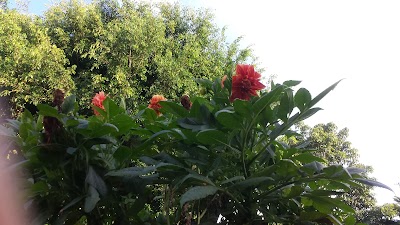 Photos of Estancia Park