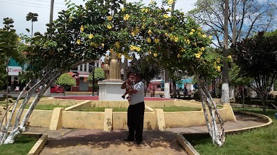 Photos of Flor del Caf&eacute; Park