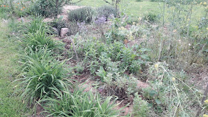 Photo n°20 de TI BEC FIN gourmandises-créoles à Le Mené (Magasin de vins et spiritueux)