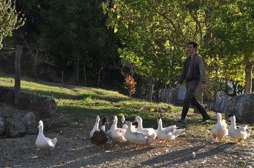 Photo de Serge Poletto Foie Gras et Spécialités de Canard à Virazeil (47200)