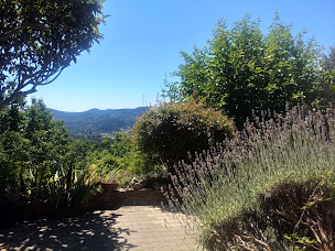 Photo n°26 de Gîtes les Jardins d'Arbousse à Saint-Jean-du-Gard (Gîte)